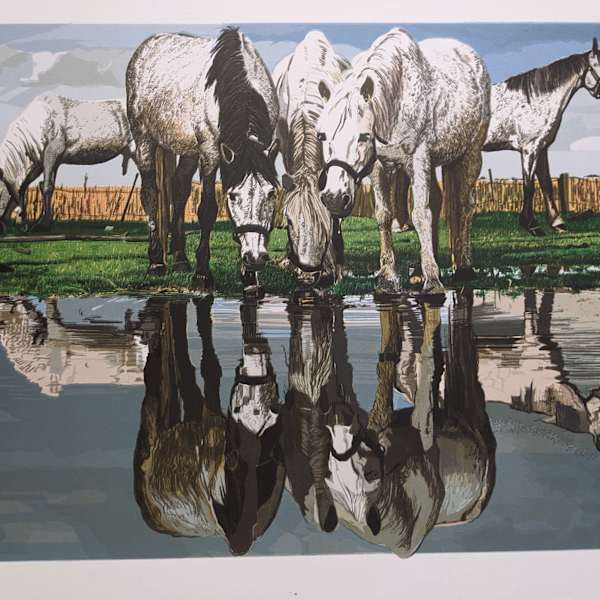 Horses of the Camargue by Fran Bull, Image 1.