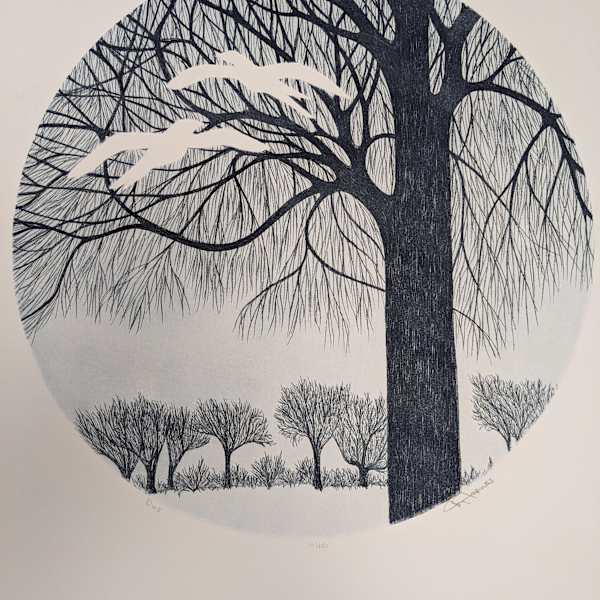 Duo by Jay Jerviss, Image 1.