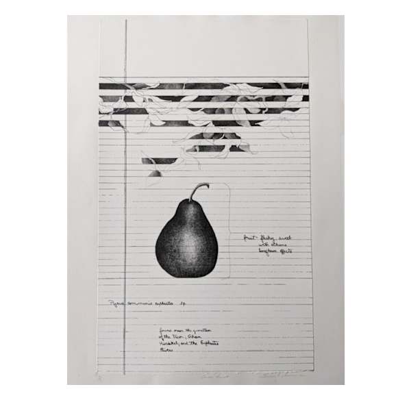 Garden Fruit by Susan J. Lawrence, Image 1.