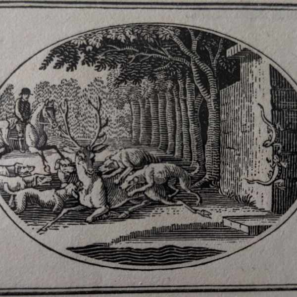 Fable XXXIX: The Two Lizards (From "Select Fables- Aesop") by Thomas & John Bewick, Image 1.