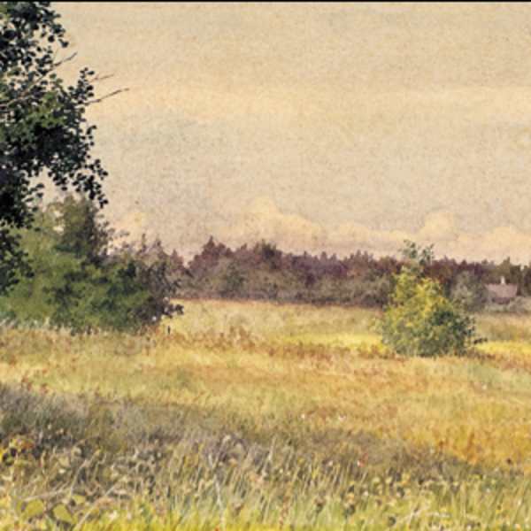 Campo di fiori by Vladimir Ivanovich Bejer, Image 1.