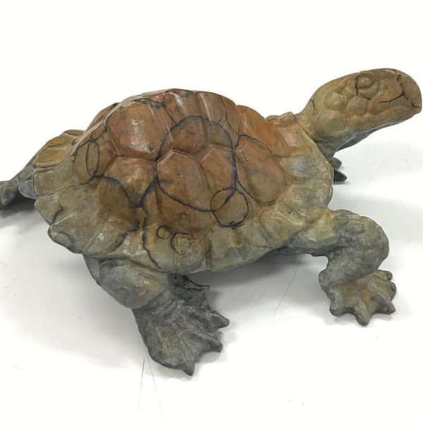 Turtle by Dan Chen, Image 1.