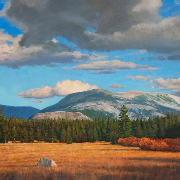 Tuolumne Meadows by Bradley Stevens, Image 1.