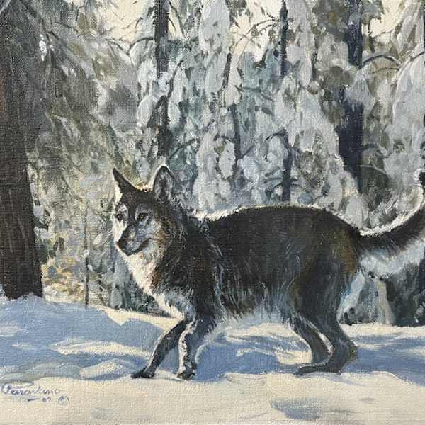 Wolf in Snow by Dino Paravano, Image 1.