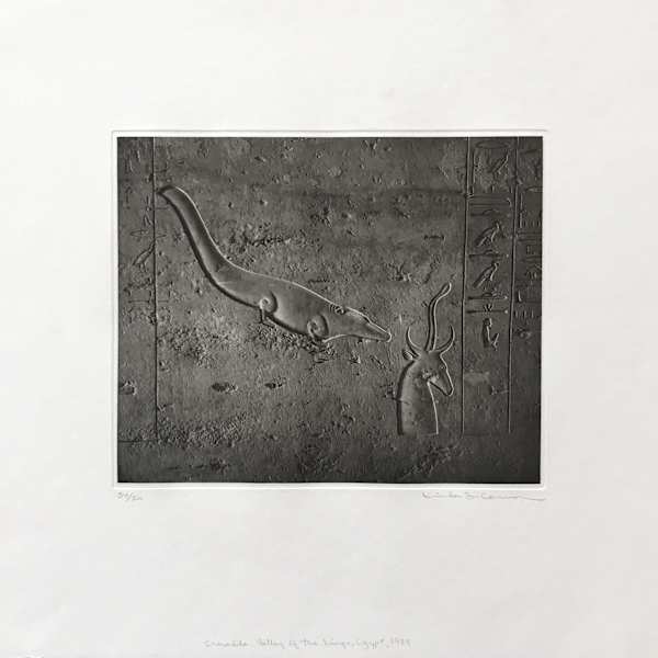 Crocodile, Valley of the Kings, Egypt by Linda Connor, Image 1.