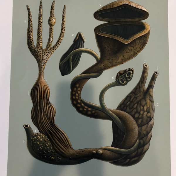 Anatomical Specimen 142 by Beauvais Lyons, Image 1.