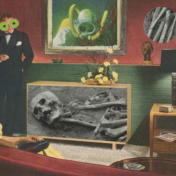 Skeleton by Barbara Justice, Image 1.