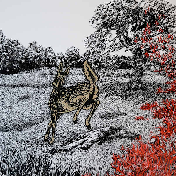 Flee by Rebecca York, Image 1.