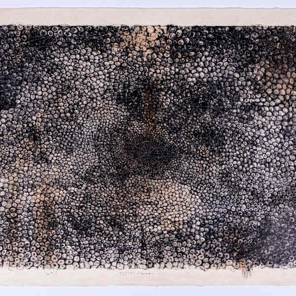 Design / Web by Yuriko Yamaguchi, Image 1.