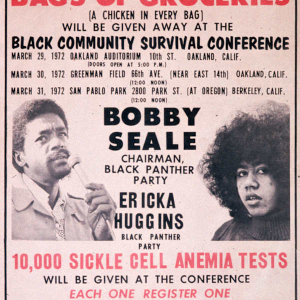 10,000 Free Full Bags of Groceries by The Black Panther Party, Image 1.