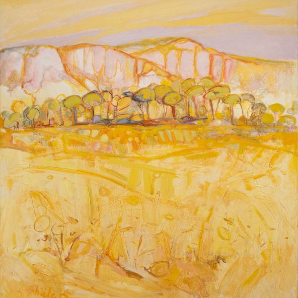 Yellow Fields by Sheila Benford, Image 1.