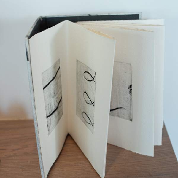 Partly Concealed Movements by August Carpenter, Image 1.