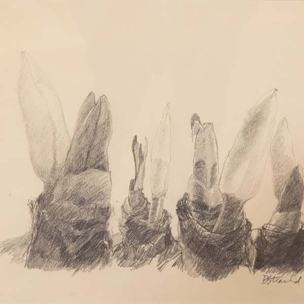 Jan 28 by Elizabeth "Betty" Strand, Image 1.
