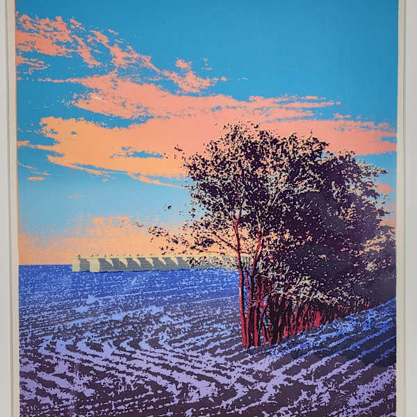 Valley Forest by Jacquelyn McElroy, Image 3.