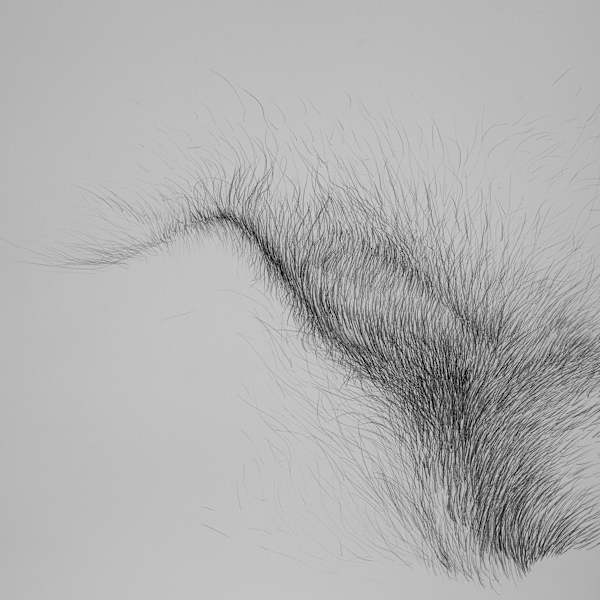 Paisaje número 5 by Manuel Parra, Image 1.