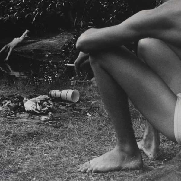 Dip in the Pond by Dan Phill, Image 2.