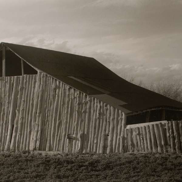 Untitled by William Clift, Image 2.