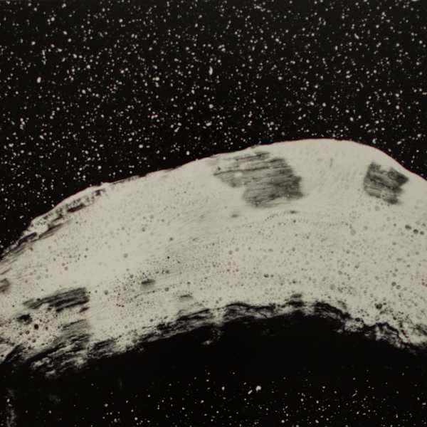 Driftwood on Black Sands by Steven Hays, Image 1.