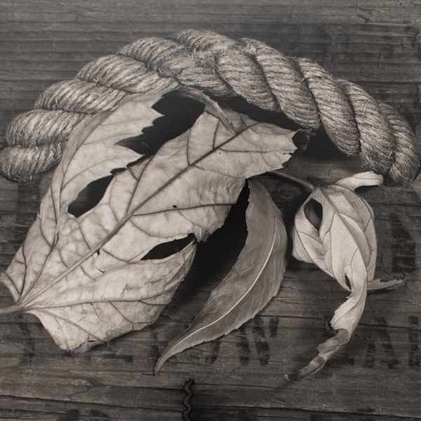 Untitled by Arlie Lynch, Image 1.