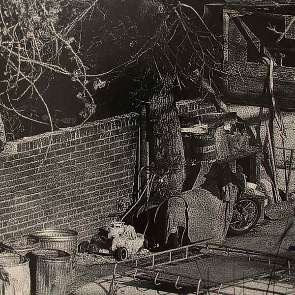 Backyard by Stephen Morris, Image 1.