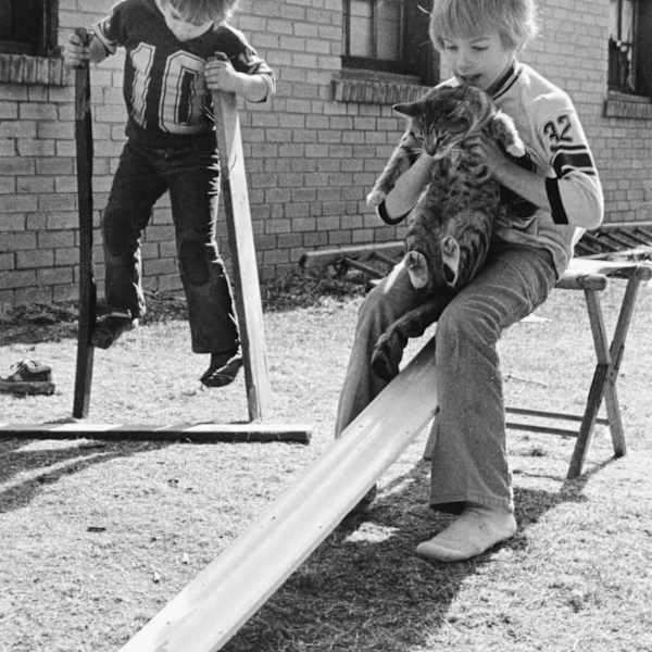 Boys in the Backyard by Kay Weed, Image 2.