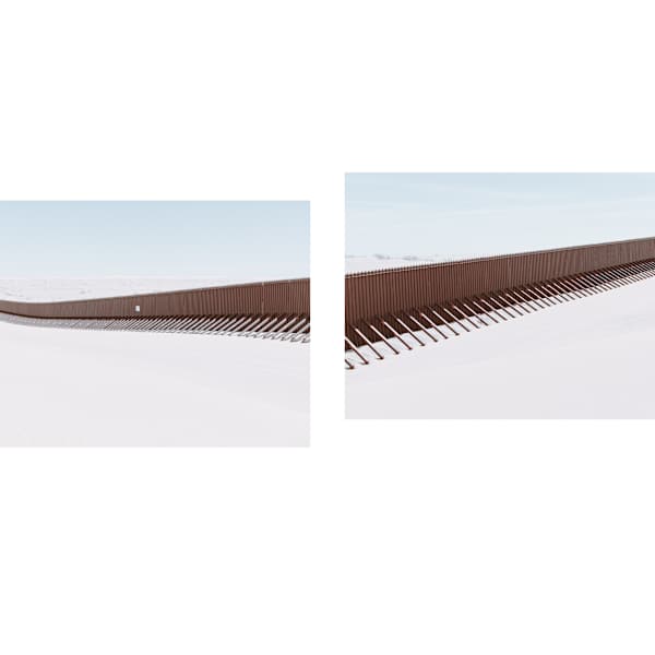 Sand Dragon, Diptych by Elliot Ross, Image 1.