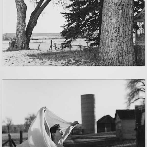 Boulder Farm-Diptych by Linda Kozloff-Turner, Image 4.