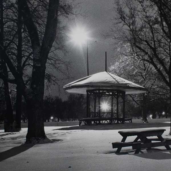 A Winter Night, Washington Park, Denver by Charles M. Major, Image 2.