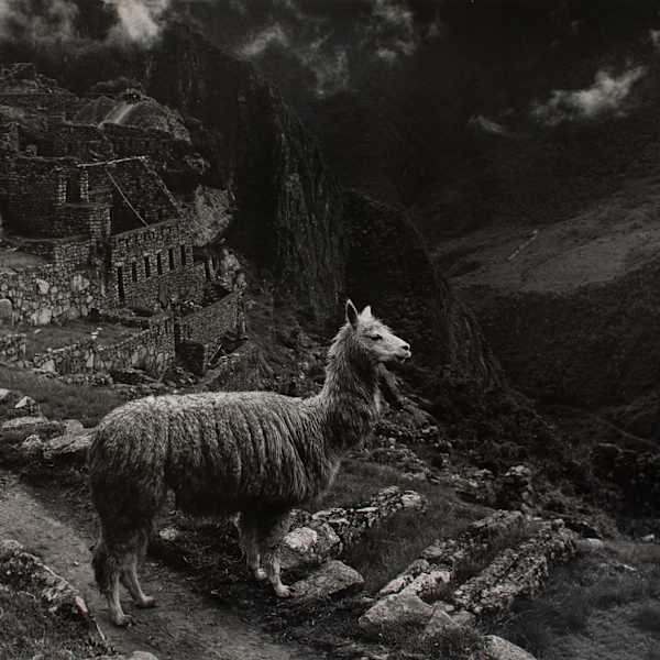 Lord of the Andes by G. Irving Brooks, Image 2.