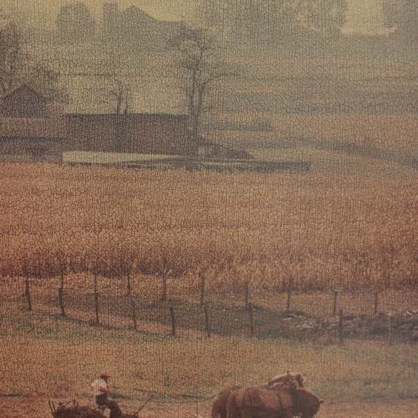 Amish Harvest by Rowan P. Smolcha, Image 1.