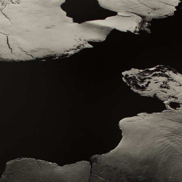Nature Study by Brian Bond, Image 1.