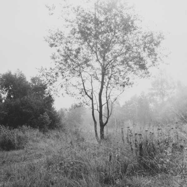 Untitled by Alexander Ranchukov, Image 2.