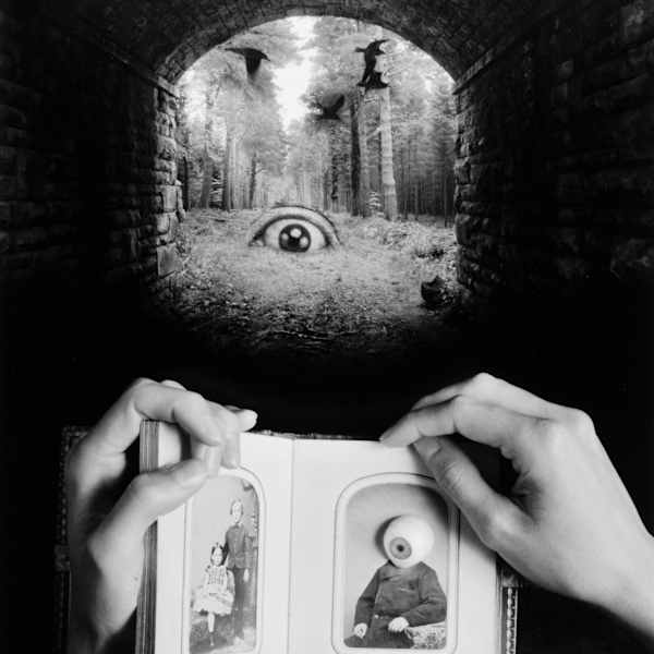 Memories of Max Ernst by Jerry N. Uelsmann, Image 2.
