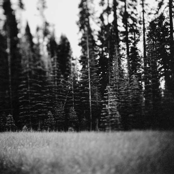 Untitled by Jessie Paige, Image 2.