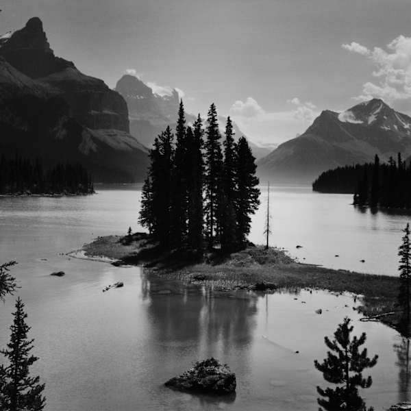 Untitled by Hosain M. Mosavat, Image 2.