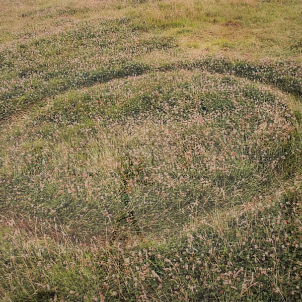 Energy Trace I, 621 Calorie Circle by Jesús Jiménez, Image 1.