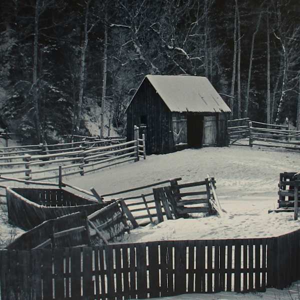 Crawford Gulch Corral ca. 1965 by Cliff Cobb, Image 1.