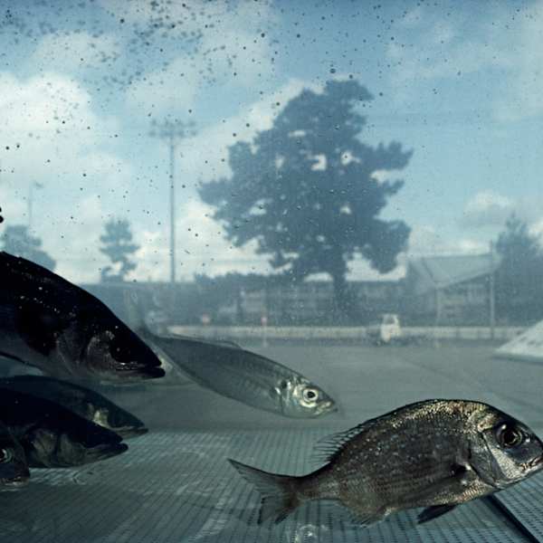 Hagi, Japan by Sam Abell, Image 1.