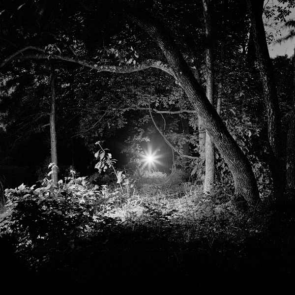 False Lights by Antone Dolezal Lara Shipley, Image 1.