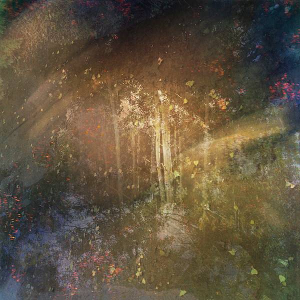 Aspects of Autumn I by Karen  Kirkpatrick, Image 1.