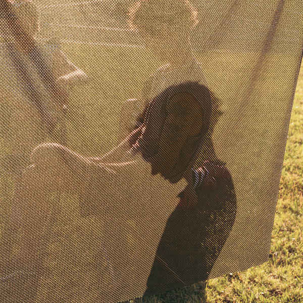 Scrim, Paonia, Colorado, 2014 by Trent Davis Bailey, Image 3.