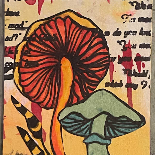 Meet Me in Wonderland by Dulce Monroy, Image 1.