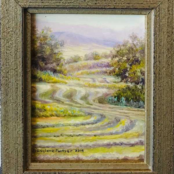 Designer Fields by Gaylene Fortner, Image 1.