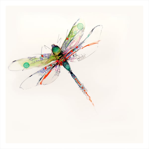 Emerald  22/25 by Sarah Rogers, Image 1.