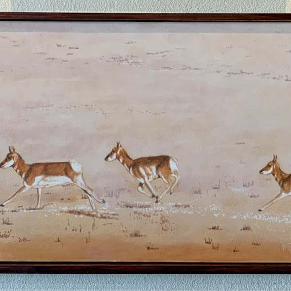 Migration by Mark Paxton, Image 1.