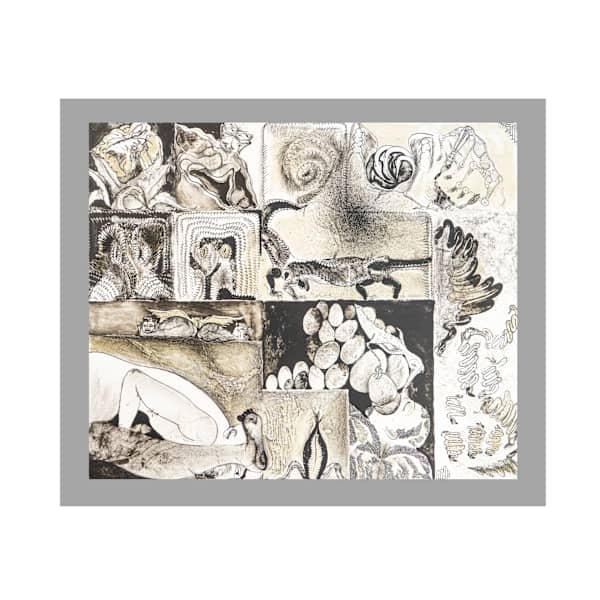 Reunión de Animales by Francisco Toledo, Image 1.