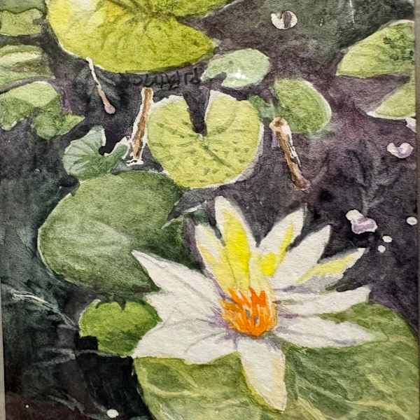 Where’s The Black Cat? by Pamela Patrick, Image 1.