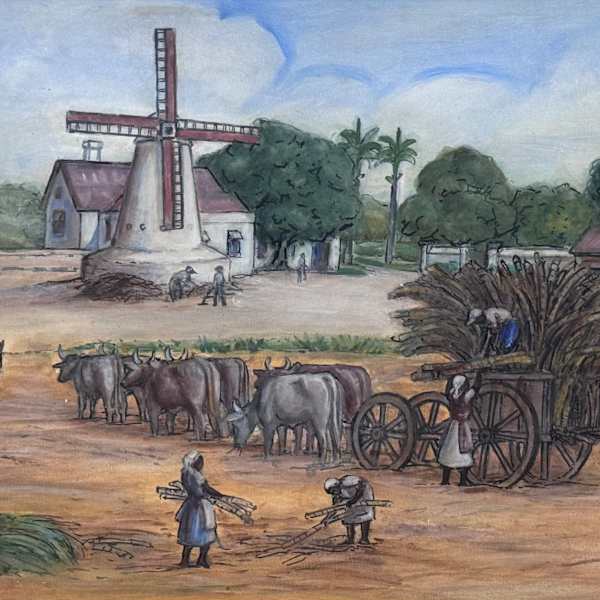 Egerton Plantation by Kathleen C. Hawkins, Image 1.
