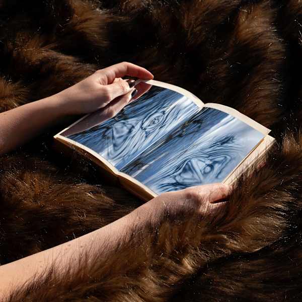 Beyond the Pale by Hannah Altman, Image 13.