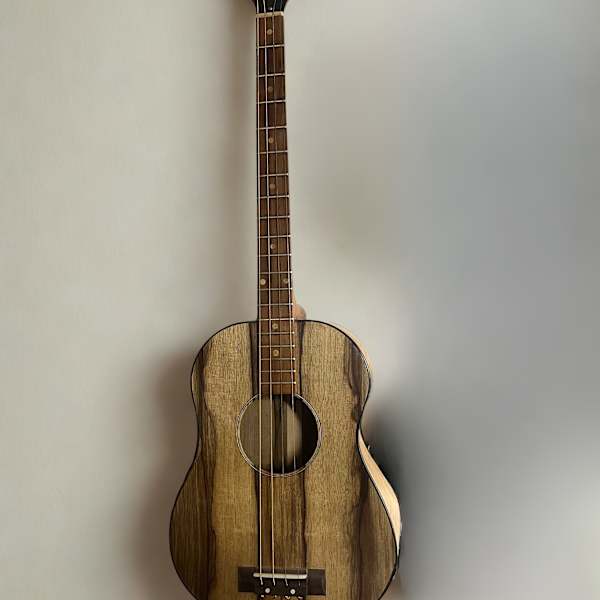 Gibson Tenor Guitar by Gibson, Image 2.